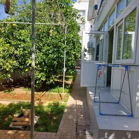 Gazde/Camere de închiriat Island 1